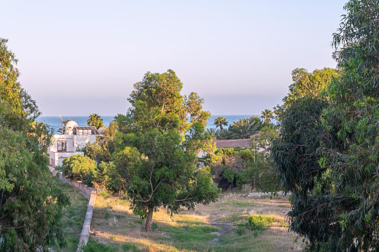 La Casa Del Alamo Villa San Jose  Ngoại thất bức ảnh